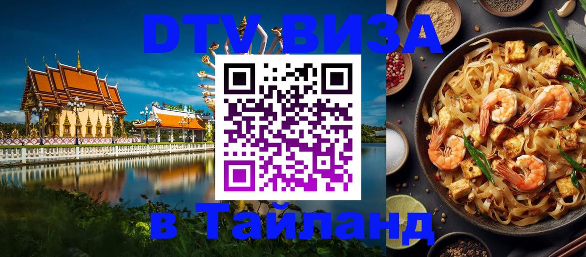 Оформление DTV визы под ключ: стоимость и тарифы, только загранпаспорт - Мурманск  21.11.2025 